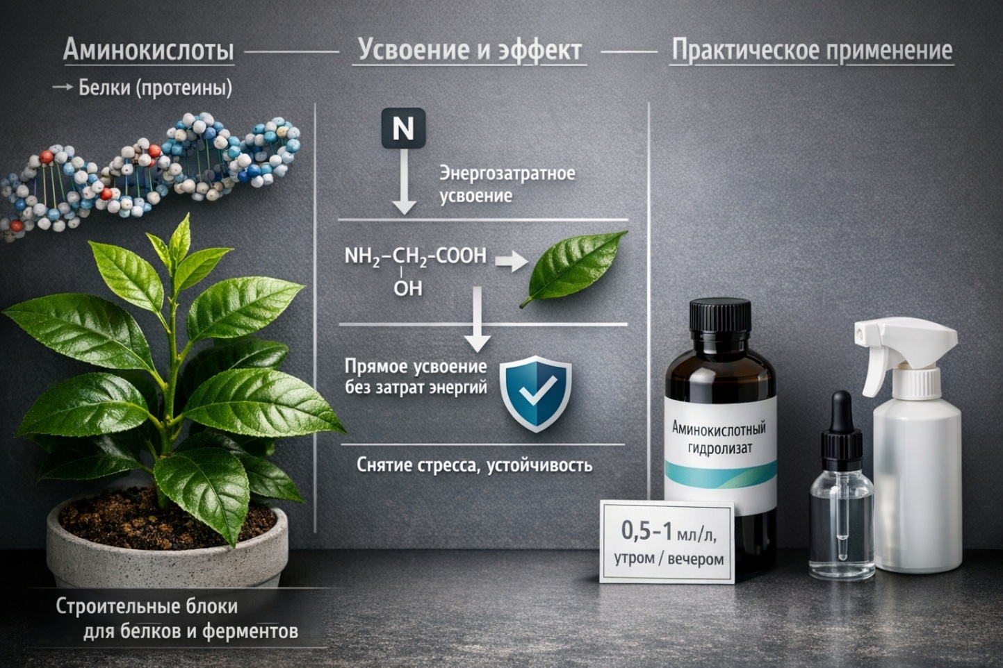 применение аминокислот для комнатного лимона. Схема прямого усвоения через лист, здоровый прирост и лабораторные образцы препаратов с мерным инструментом.